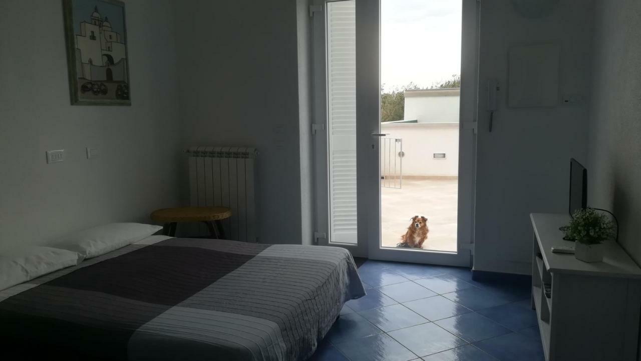 Citara mare Villa Forio  Bagian luar foto